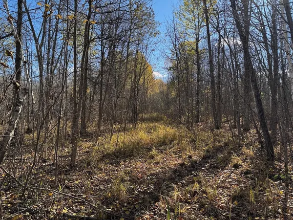 $195,000 | Tbd Spangrud Court Northeast, Kelliher, MN 56650