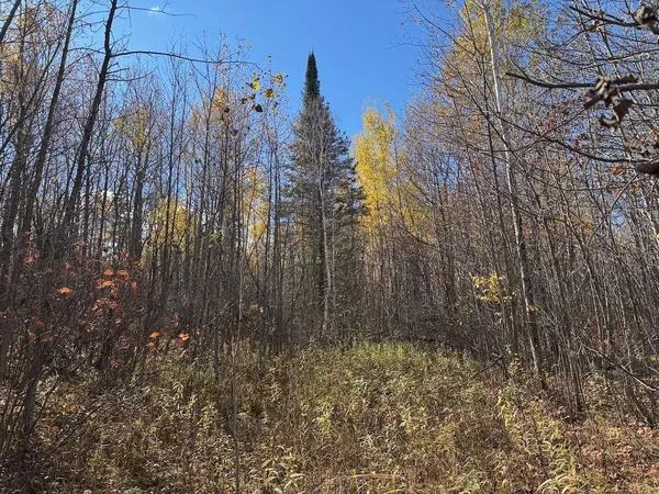 $195,000 | Tbd Spangrud Court Northeast, Kelliher, MN 56650