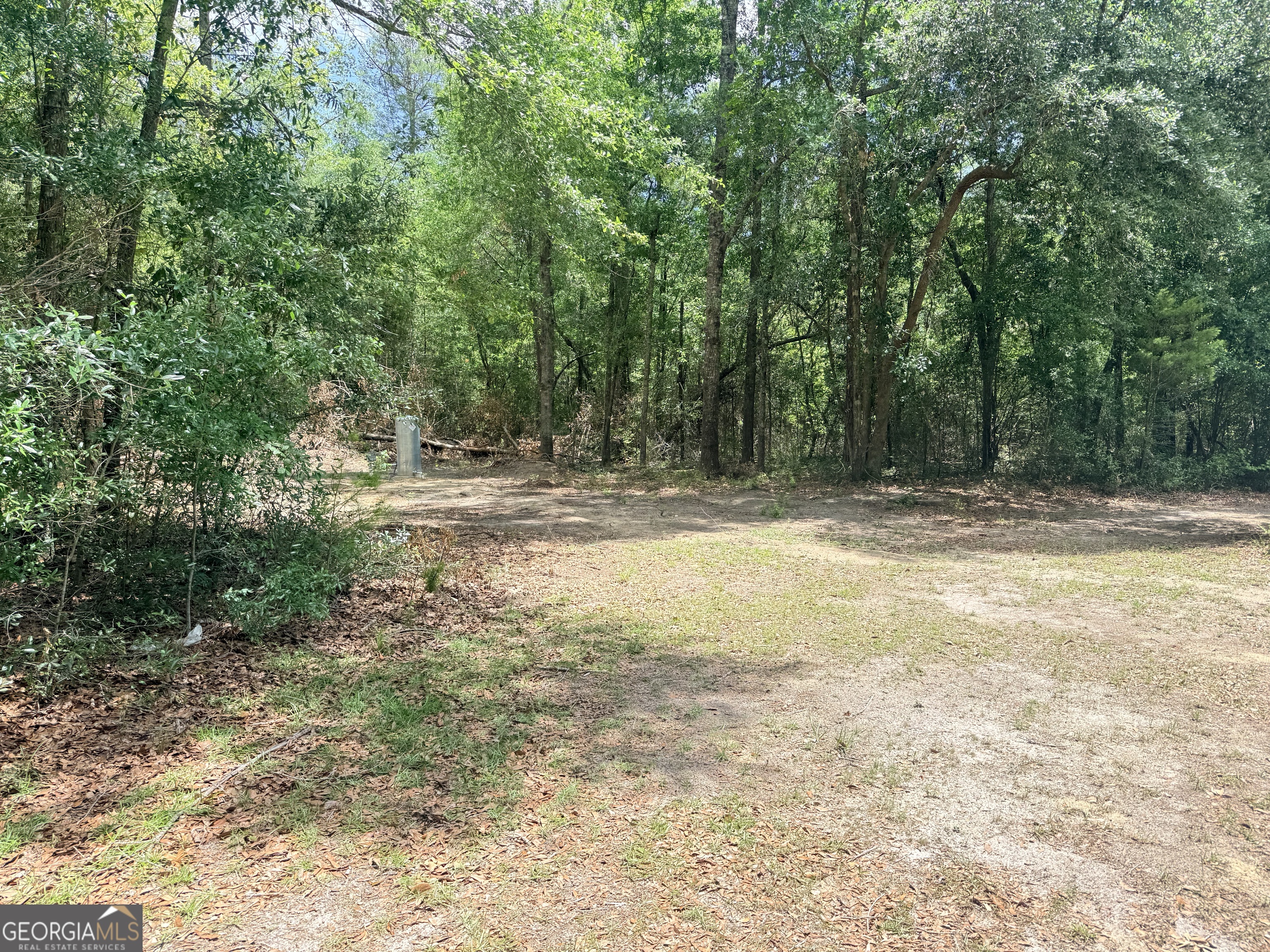 563 Kendricks Road Brooklet, GA 30415 - Photo 3 of 11