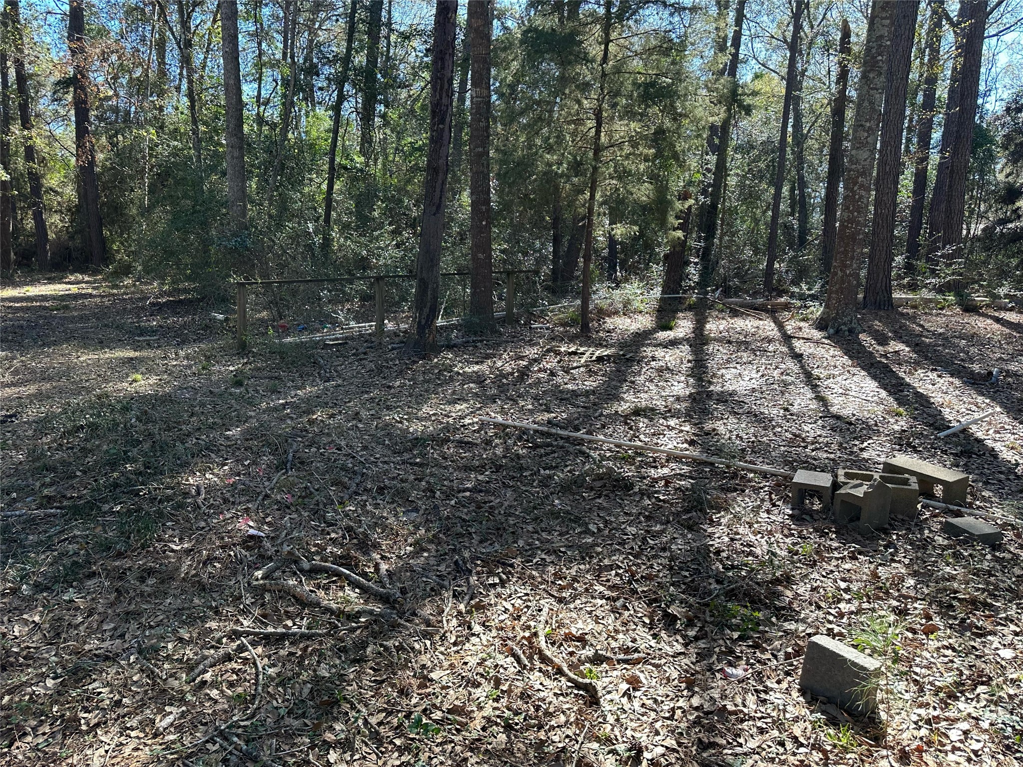 13878 Coaltown Road Willis, TX 77378 - Photo 15 of 17