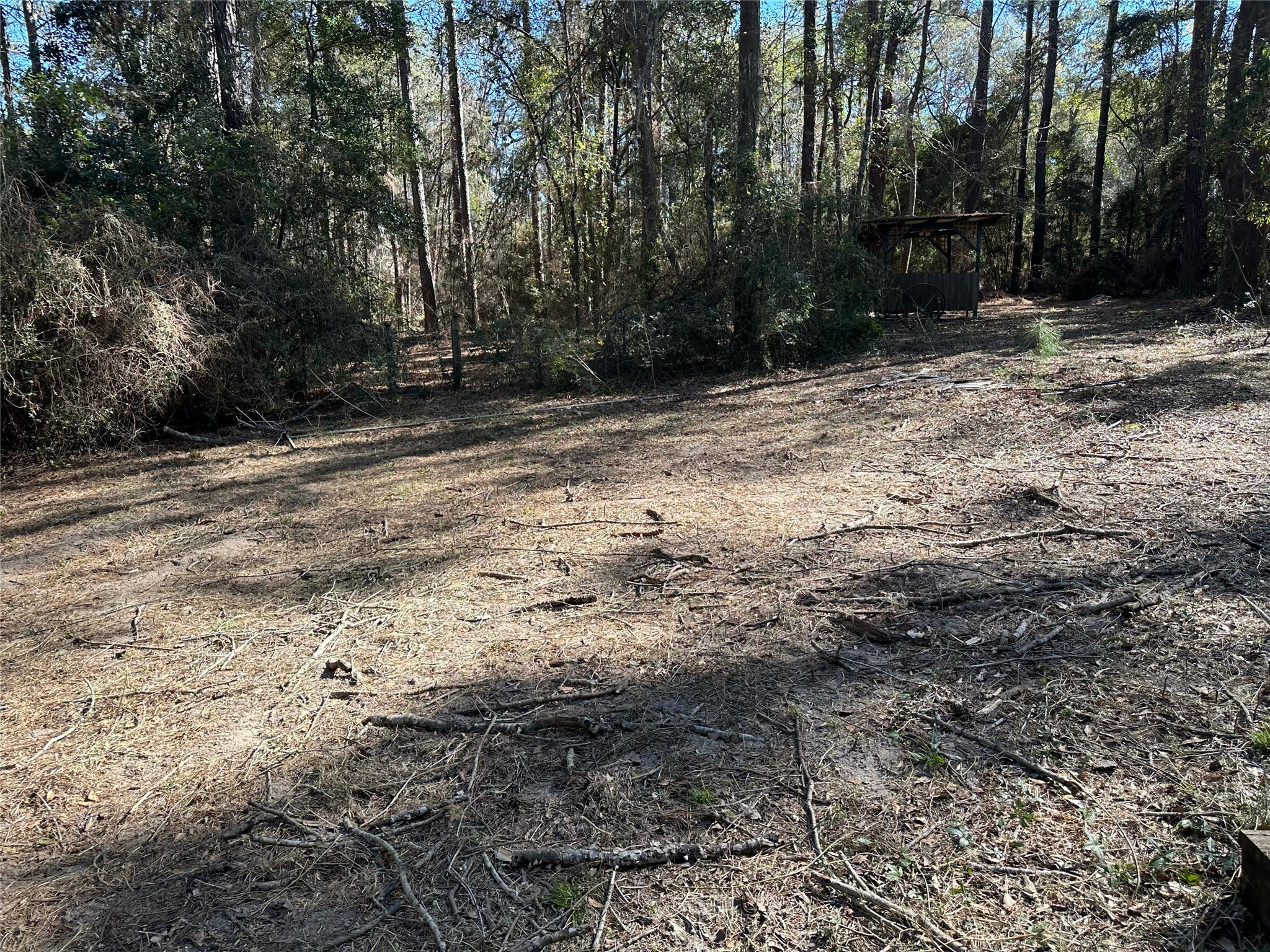 13878 Coaltown Road Willis, TX 77378 - Photo 16 of 17