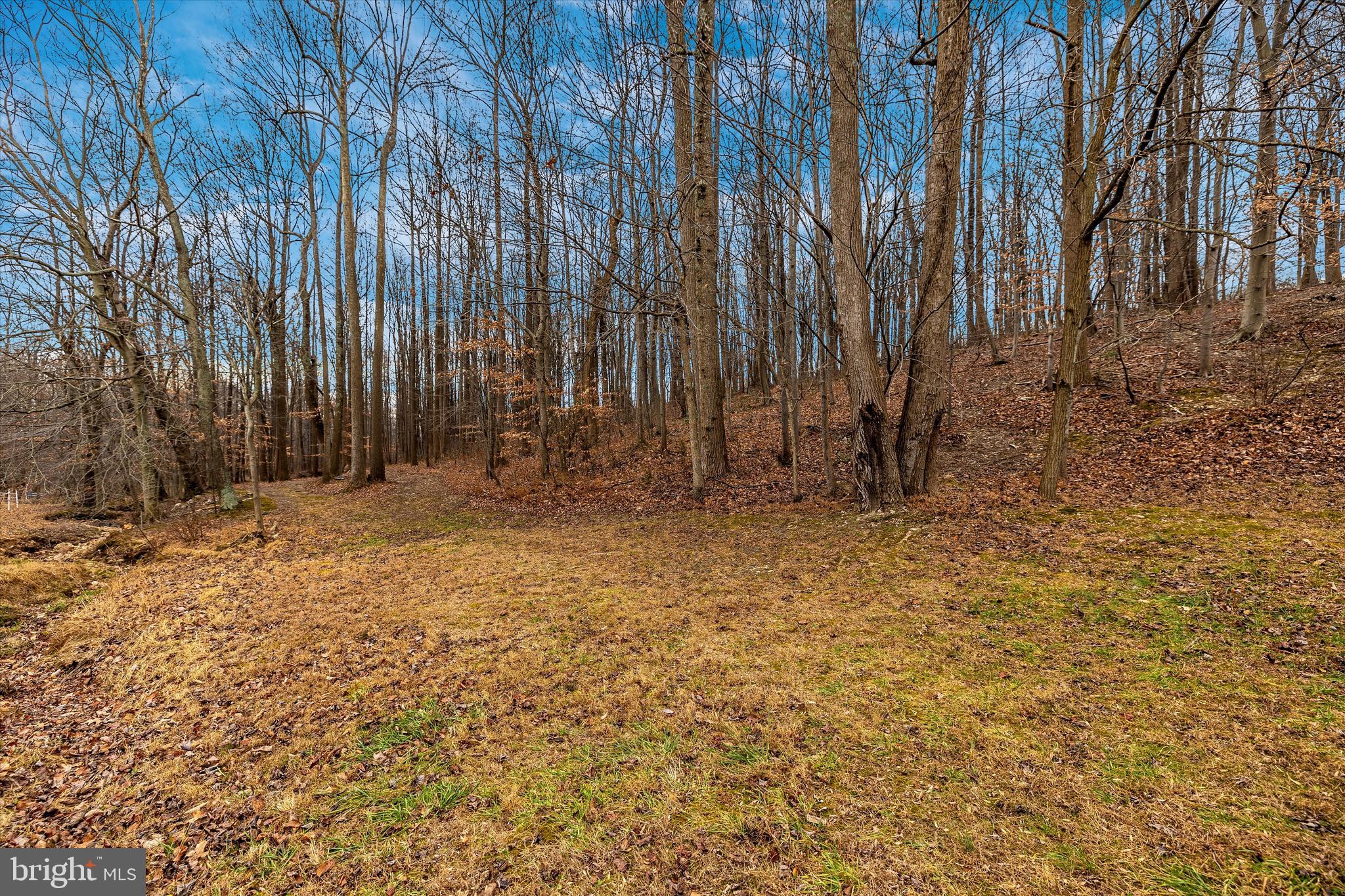 4460 Mountville Road Frederick, MD 21703 - Photo 32 of 60