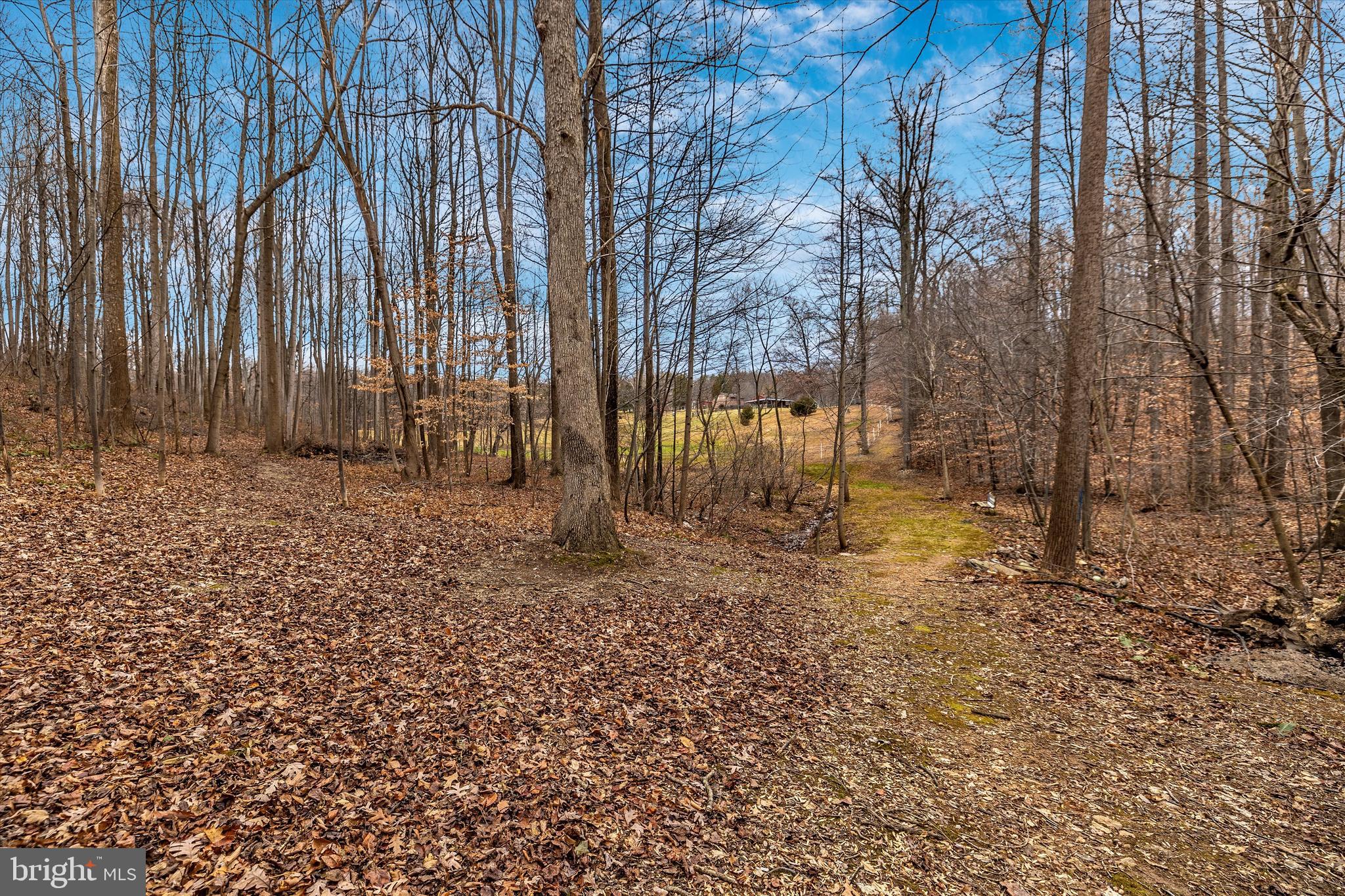 4460 Mountville Road Frederick, MD 21703 - Photo 34 of 60