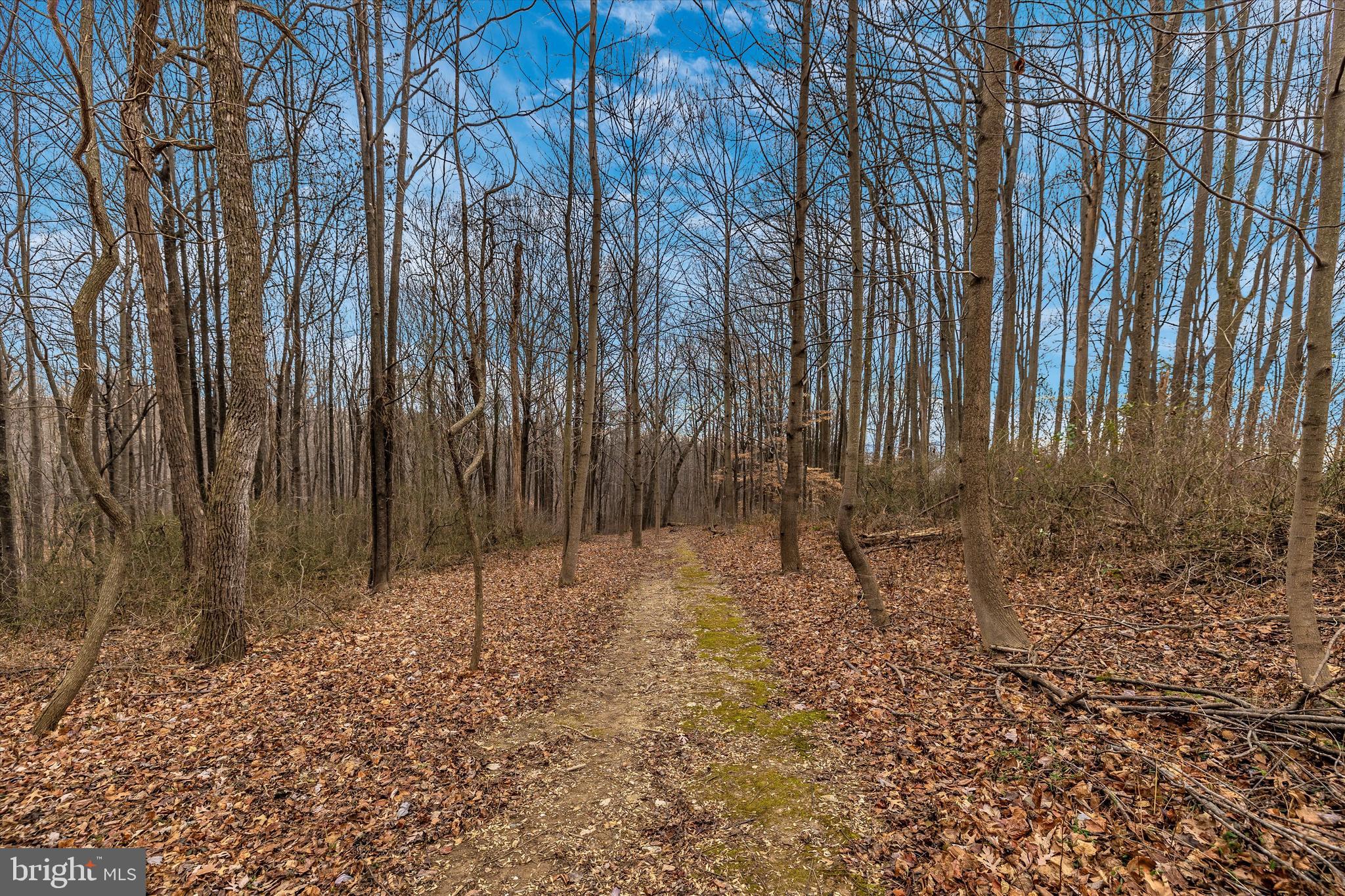 4460 Mountville Road Frederick, MD 21703 - Photo 35 of 60
