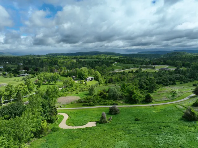 a view of a city with lush green forest