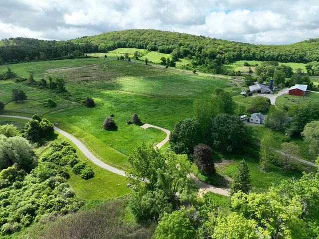 a view of a green field with lots of green space