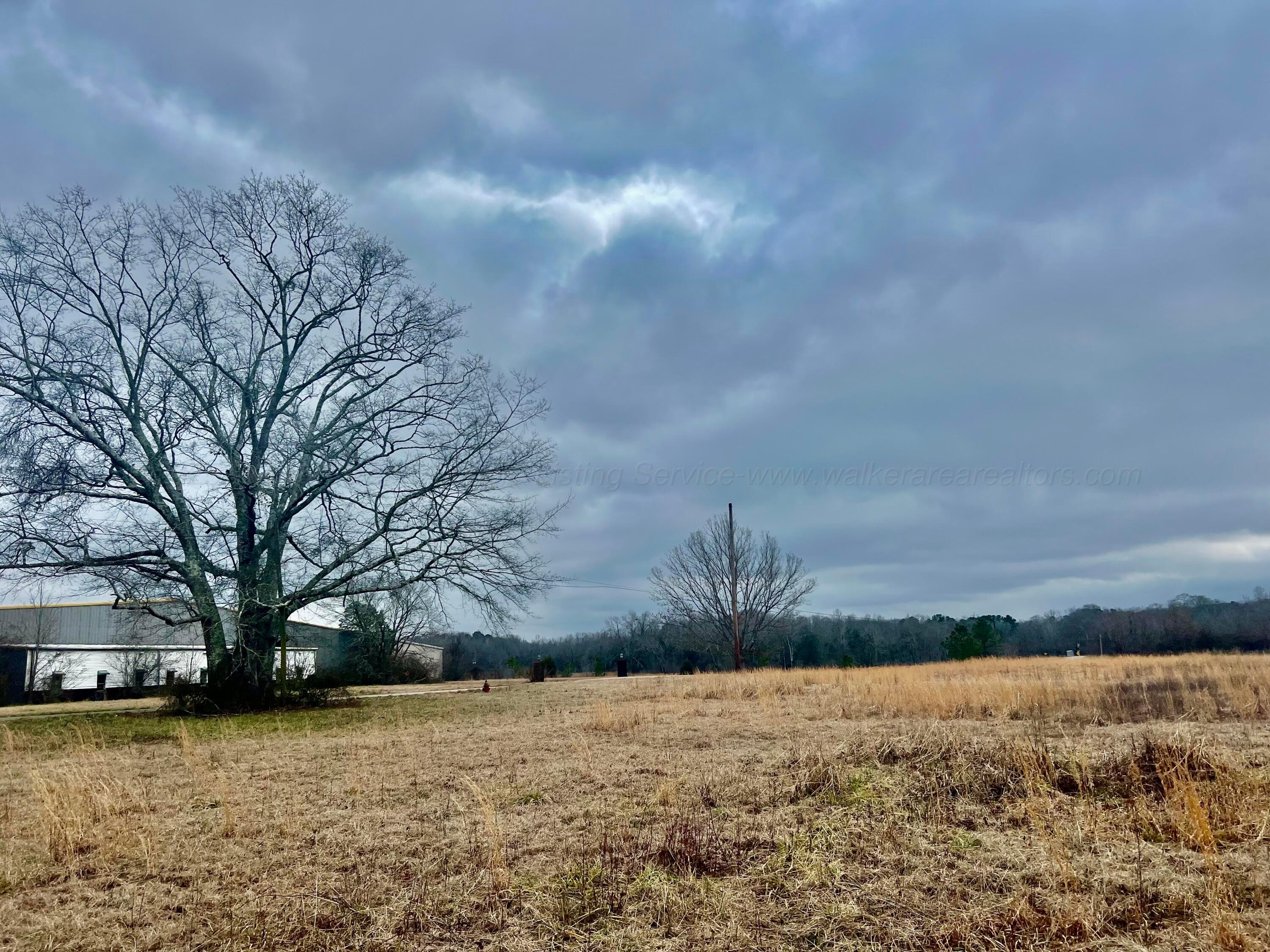 Trull Road Winfield, AL 35594 - Photo 10 of 24 Gallery Image 10
