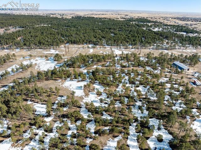 12180 Goodson Road Colorado Springs, CO 80908 - Photo 14 of 25
