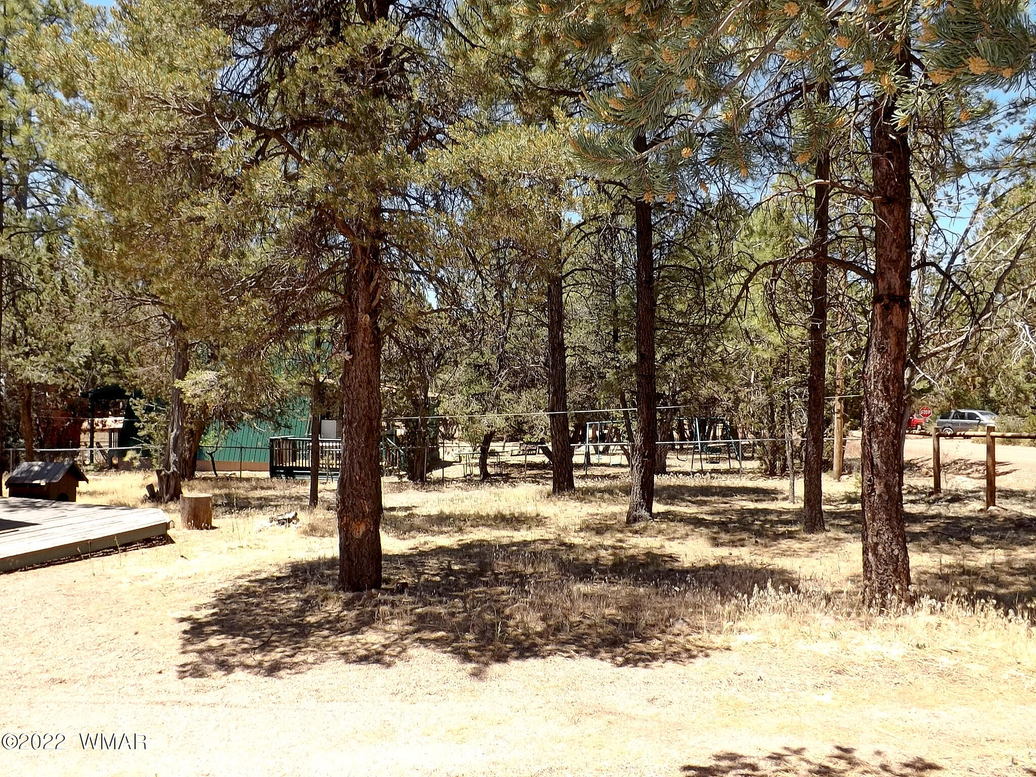 2057 Shot Gun Road Overgaard, AZ 85933 - Photo 12 of 24 a view of a park with trees