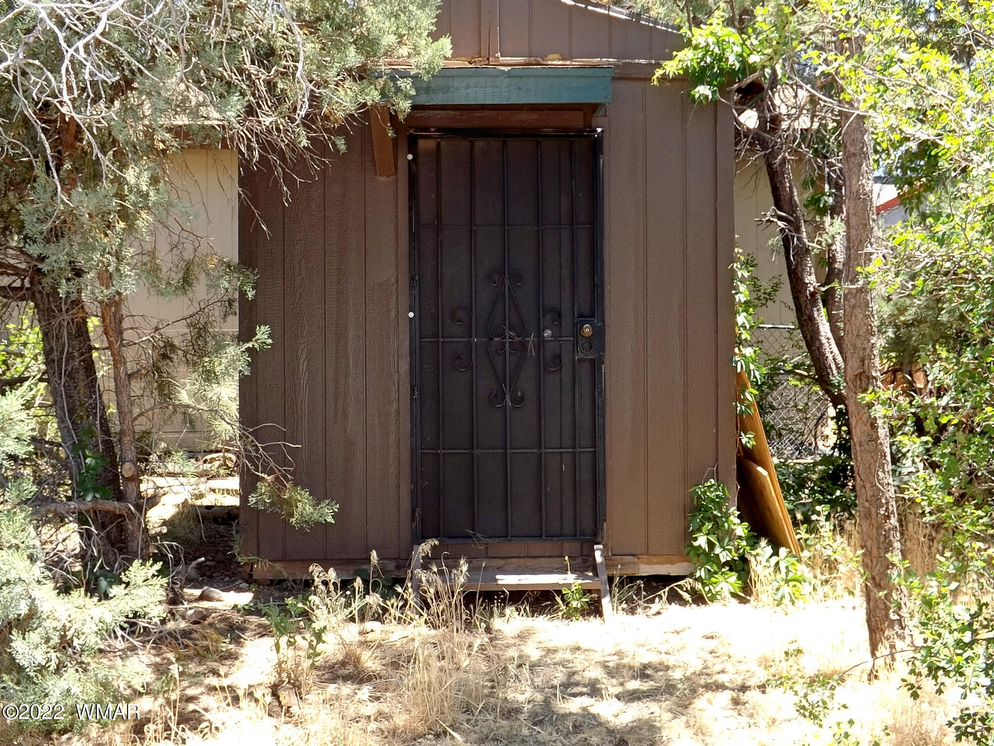 2057 Shot Gun Road Overgaard, AZ 85933 - Photo 13 of 24 a view of wooden door and tree