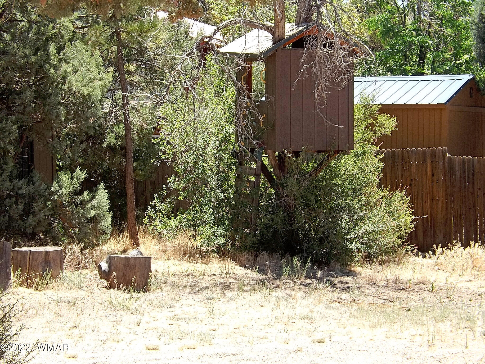 2057 Shot Gun Road Overgaard, AZ 85933 - Photo 10 of 24 a view of a outdoor space with plants and tree