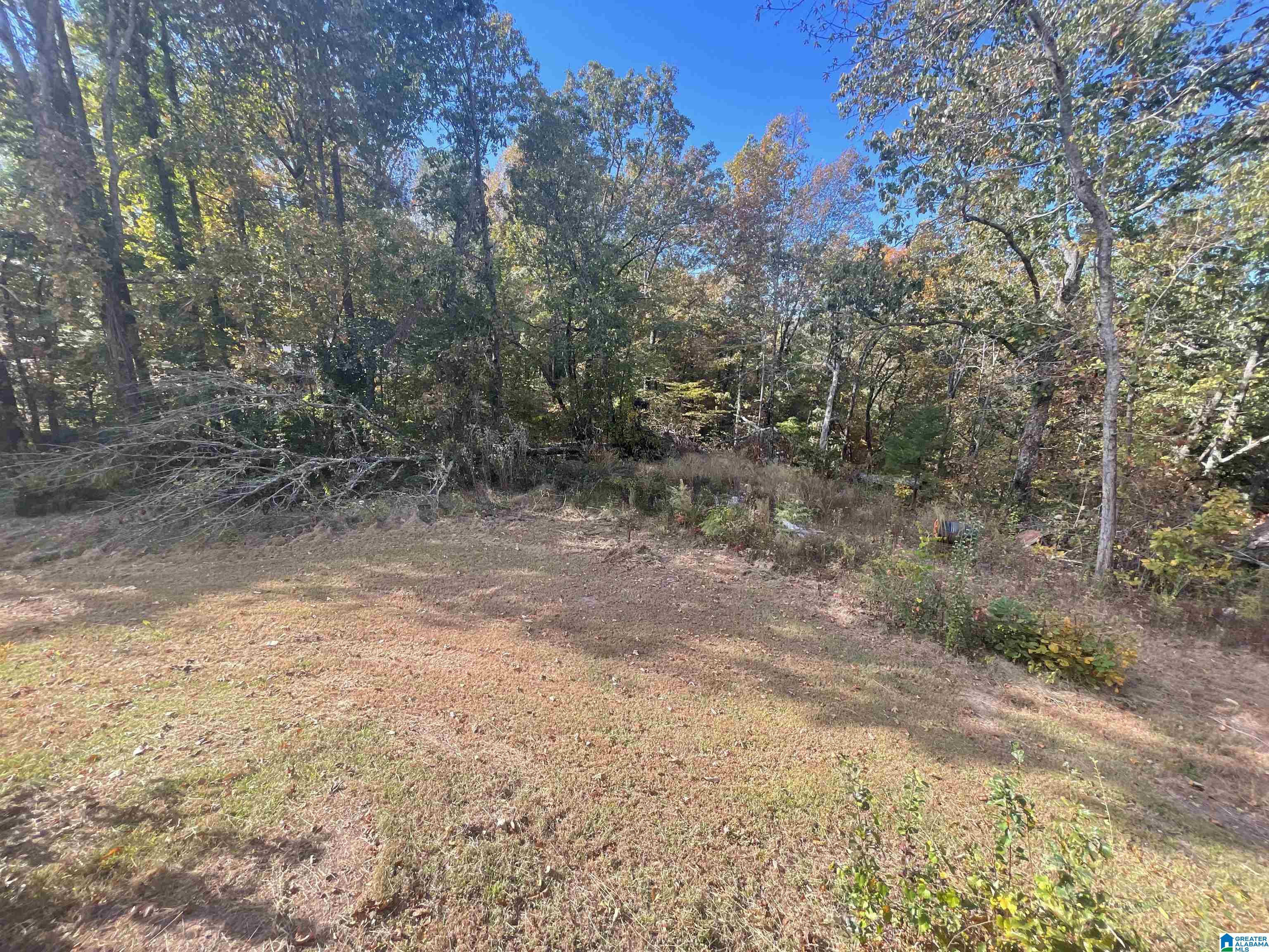285 Forest View Circle Hayden, AL 35079 - Photo 19 of 19