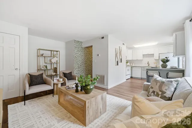 a living room with furniture and a potted plant