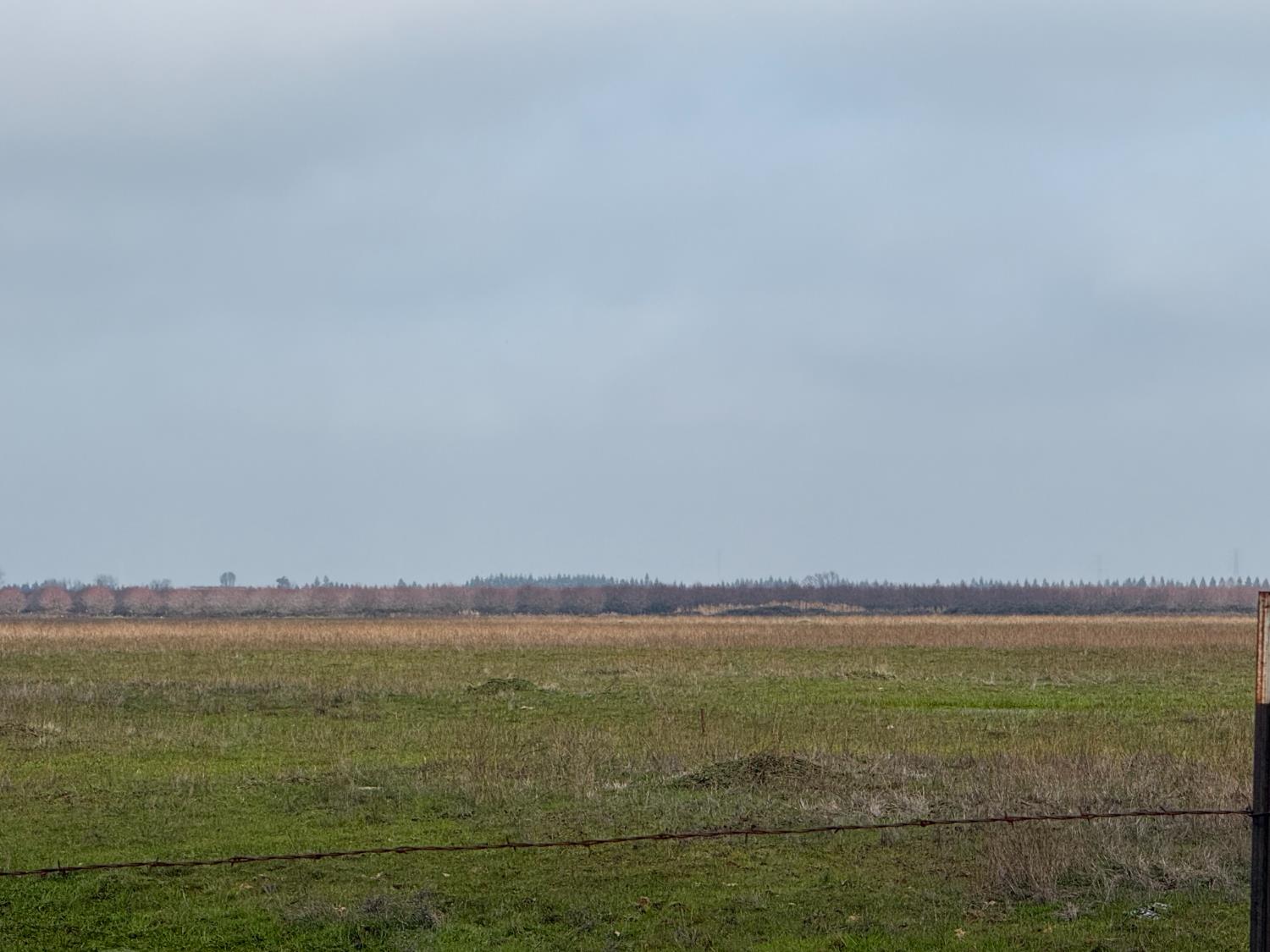 0 Moore Road Lincoln, CA 95648 - Photo 4 of 6 a view of an ocean