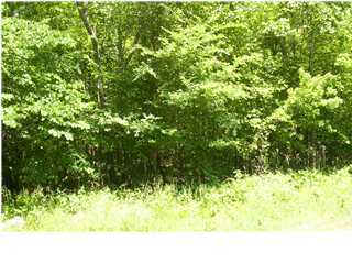 0 Holder Loop Rising Fawn, GA 30738 - Photo 1 of 1 Primary Photo