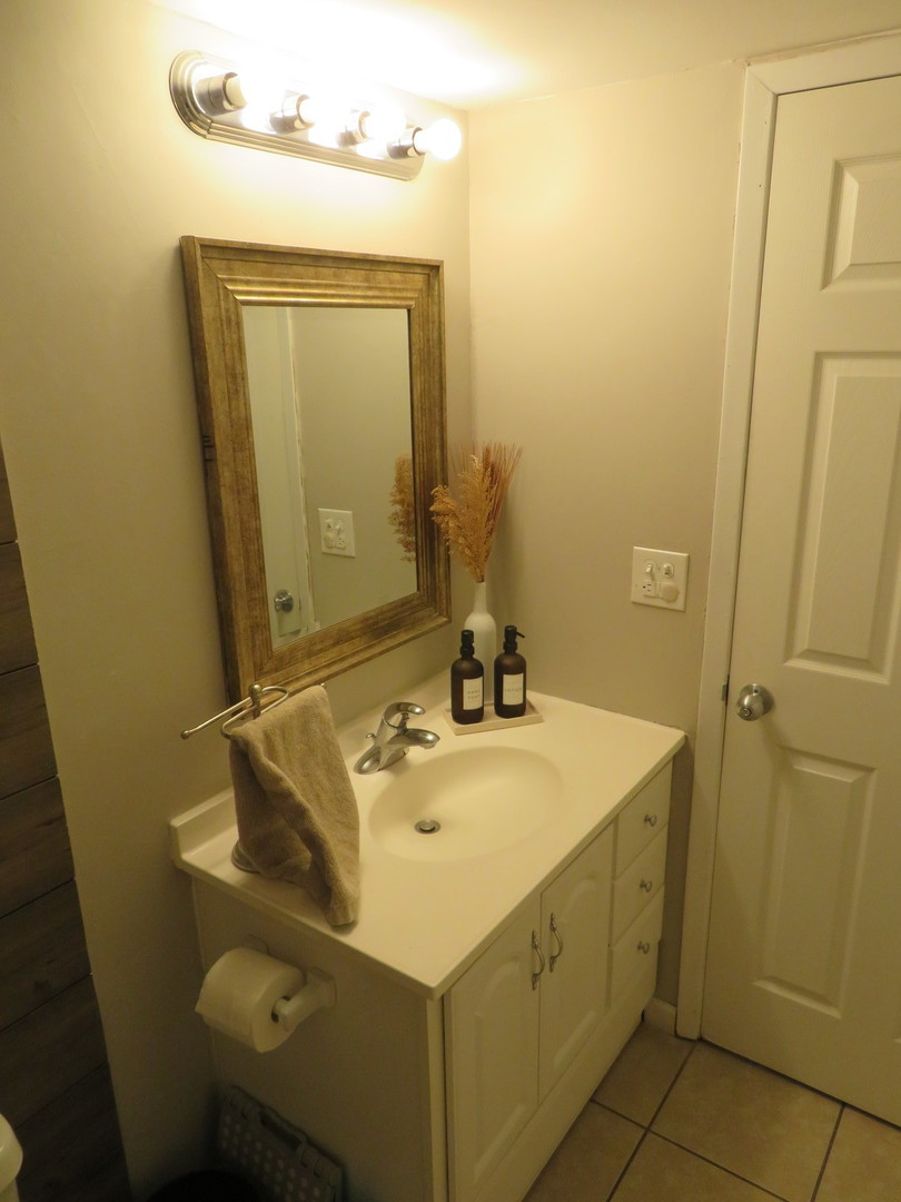 310 Rodenburg Road Roselle, IL 60172 - Photo 13 of 56 a bathroom with a sink and a mirror