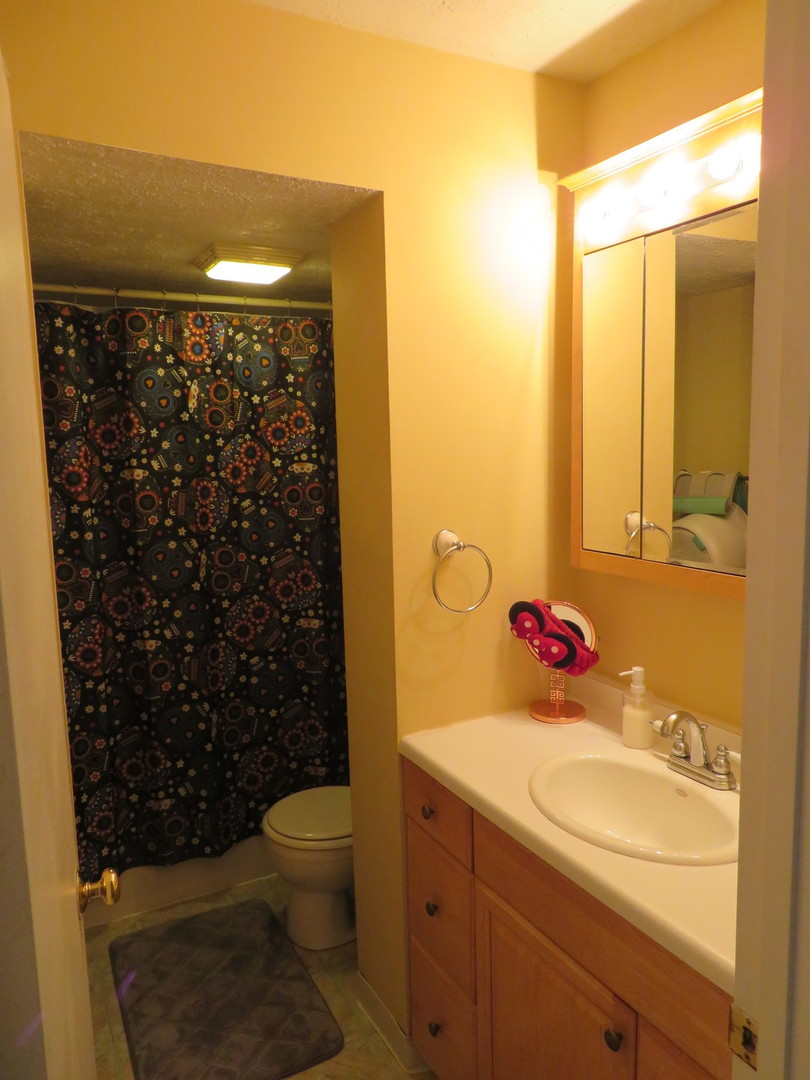 310 Rodenburg Road Roselle, IL 60172 - Photo 22 of 56 a bathroom with a sink toilet and shower