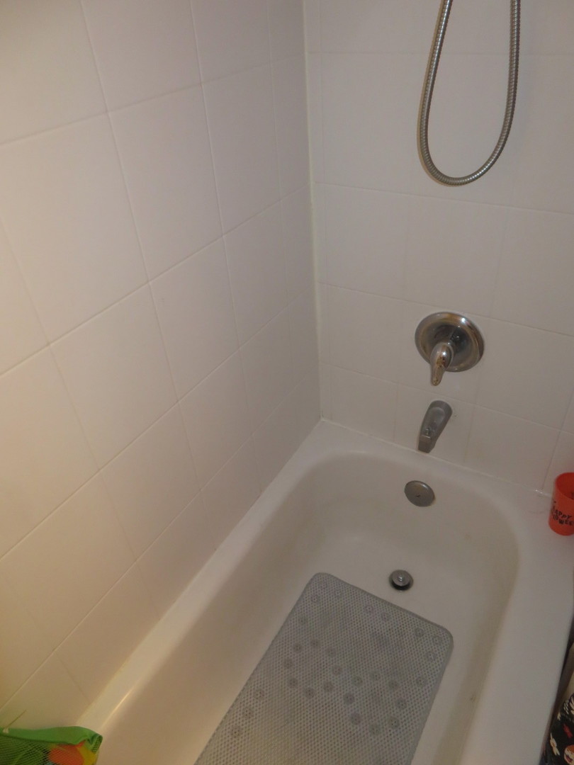 310 Rodenburg Road Roselle, IL 60172 - Photo 23 of 56 a bathroom with a bath tub with a shower