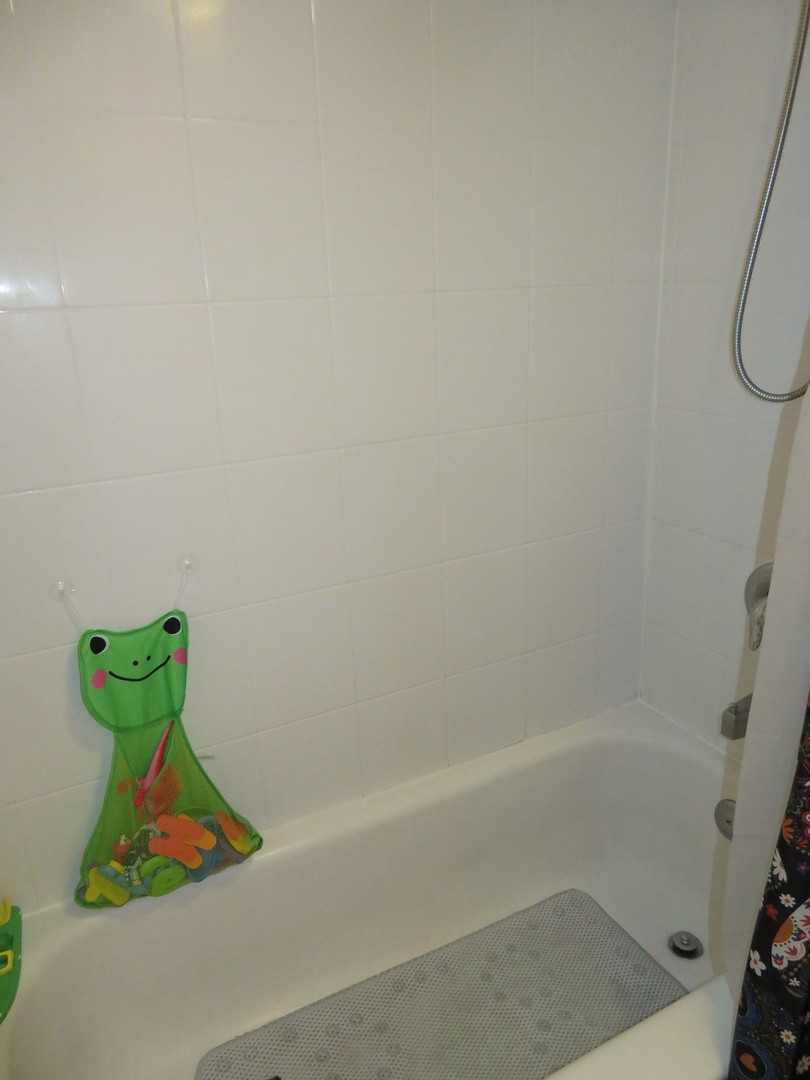310 Rodenburg Road Roselle, IL 60172 - Photo 24 of 56 a bathroom with a shower