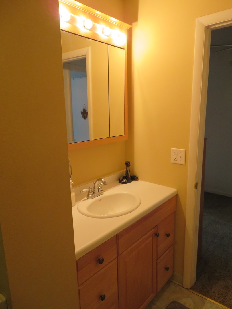 310 Rodenburg Road Roselle, IL 60172 - Photo 25 of 56 a bathroom with a sink and a mirror