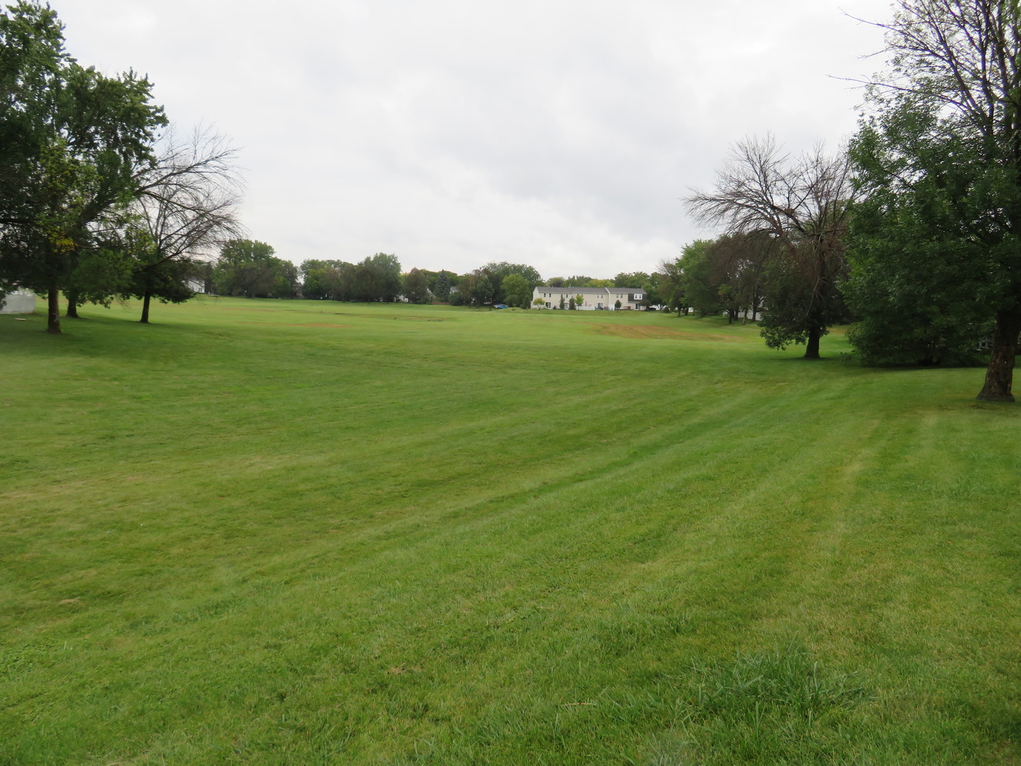 310 Rodenburg Road Roselle, IL 60172 - Photo 42 of 56