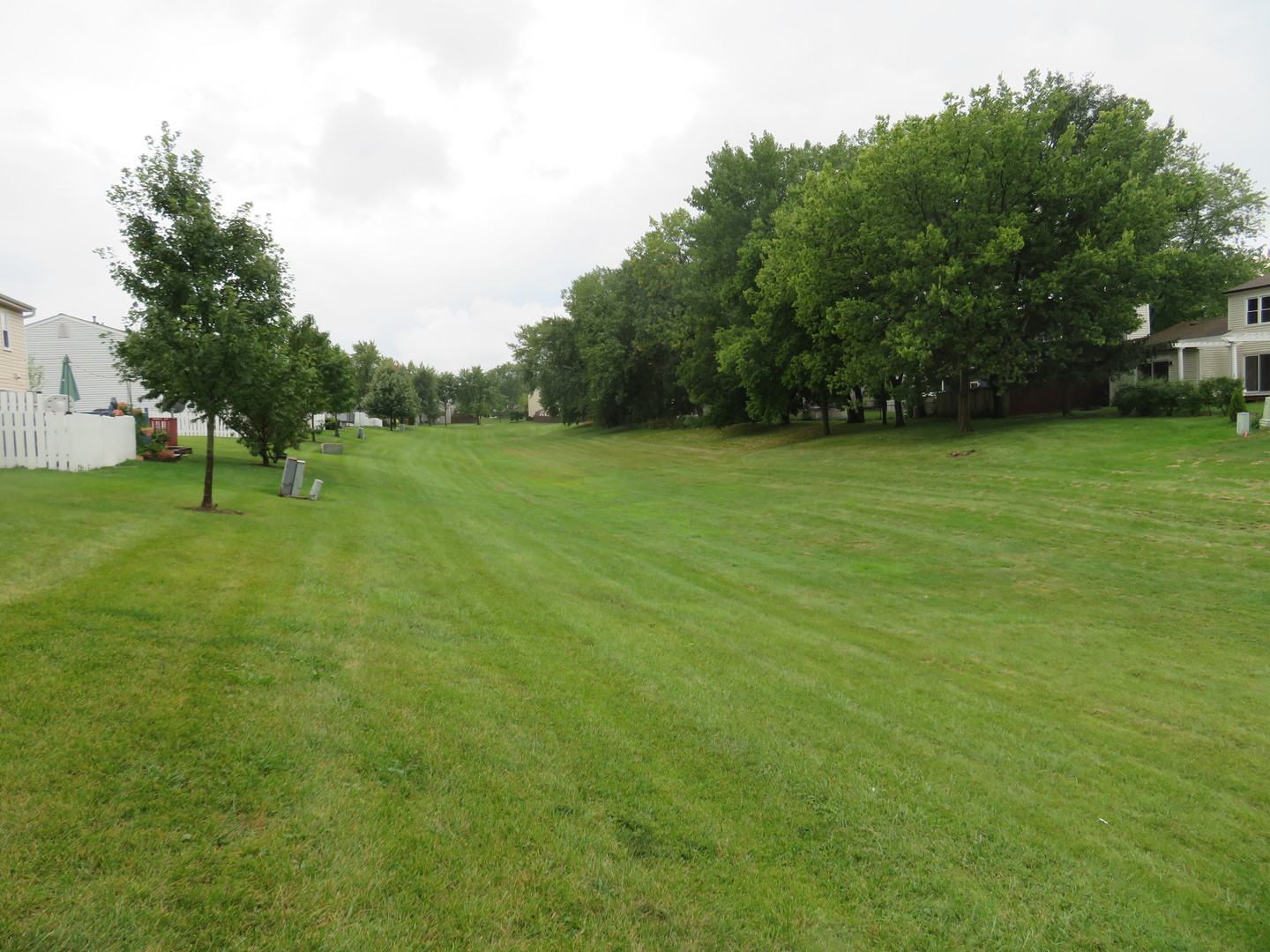 310 Rodenburg Road Roselle, IL 60172 - Photo 43 of 56 a view of field with trees in the background