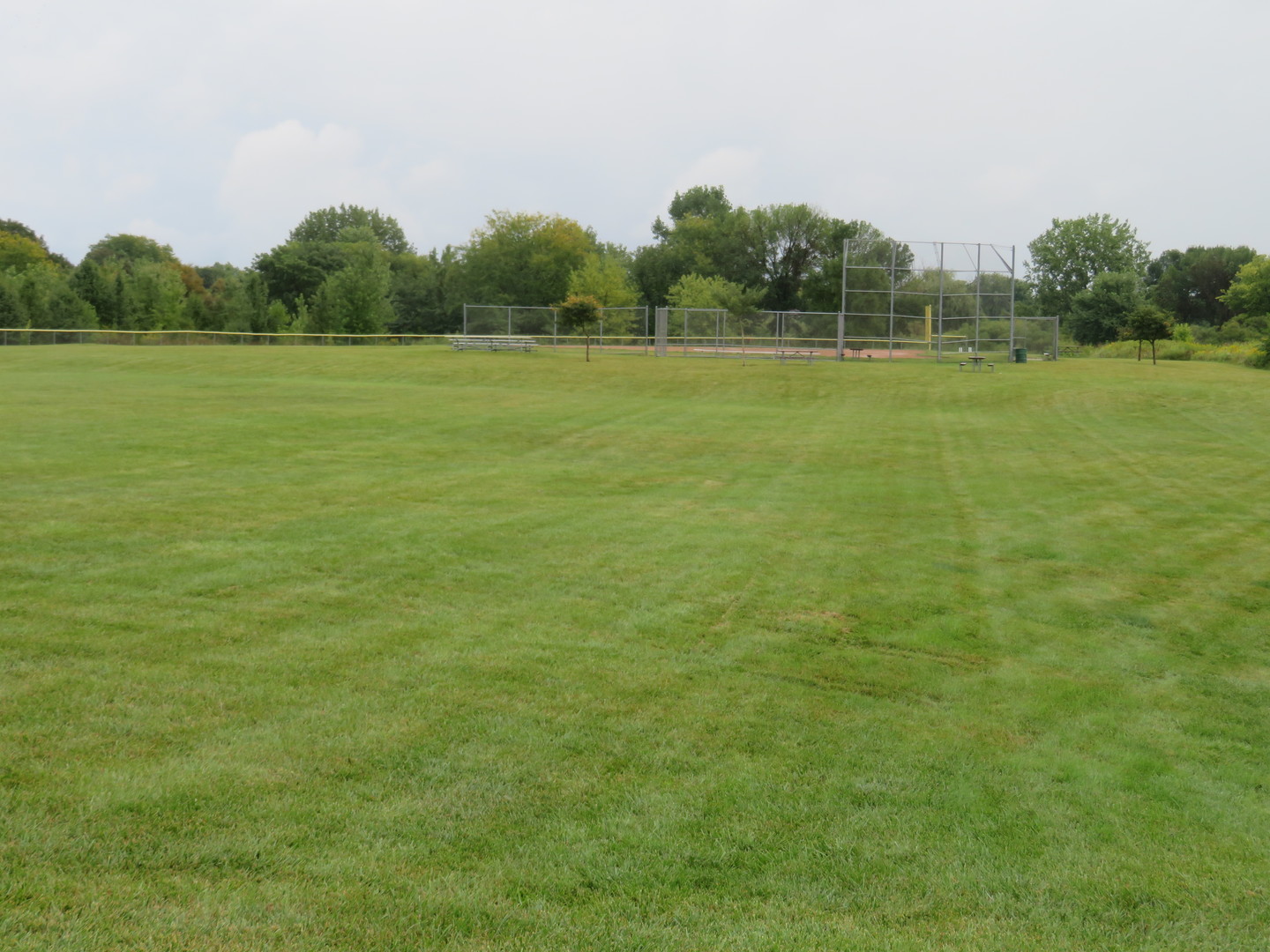 310 Rodenburg Road Roselle, IL 60172 - Photo 53 of 56 a view of a field with trees in the background