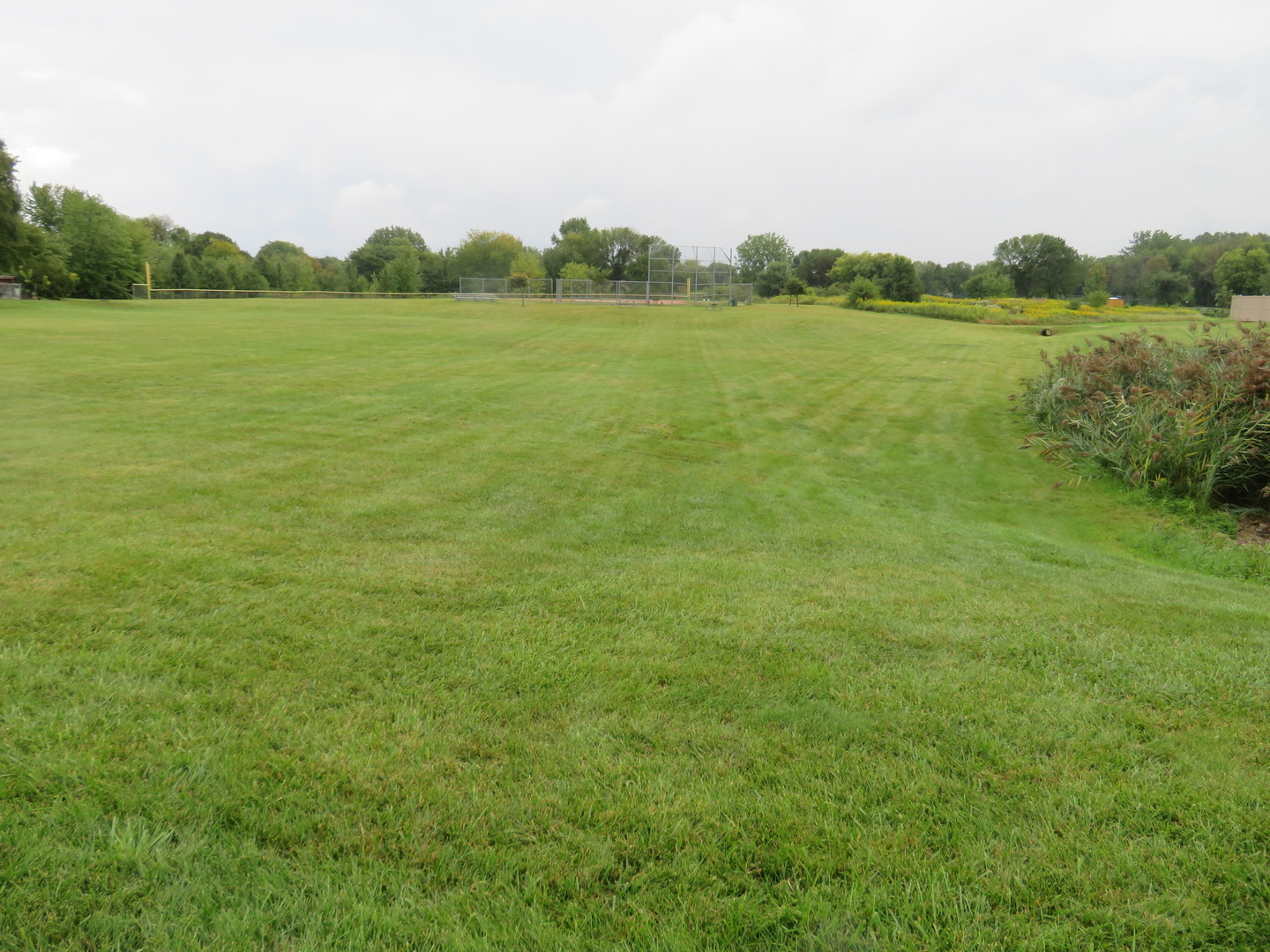 310 Rodenburg Road Roselle, IL 60172 - Photo 54 of 56 a view of lake and mountain view