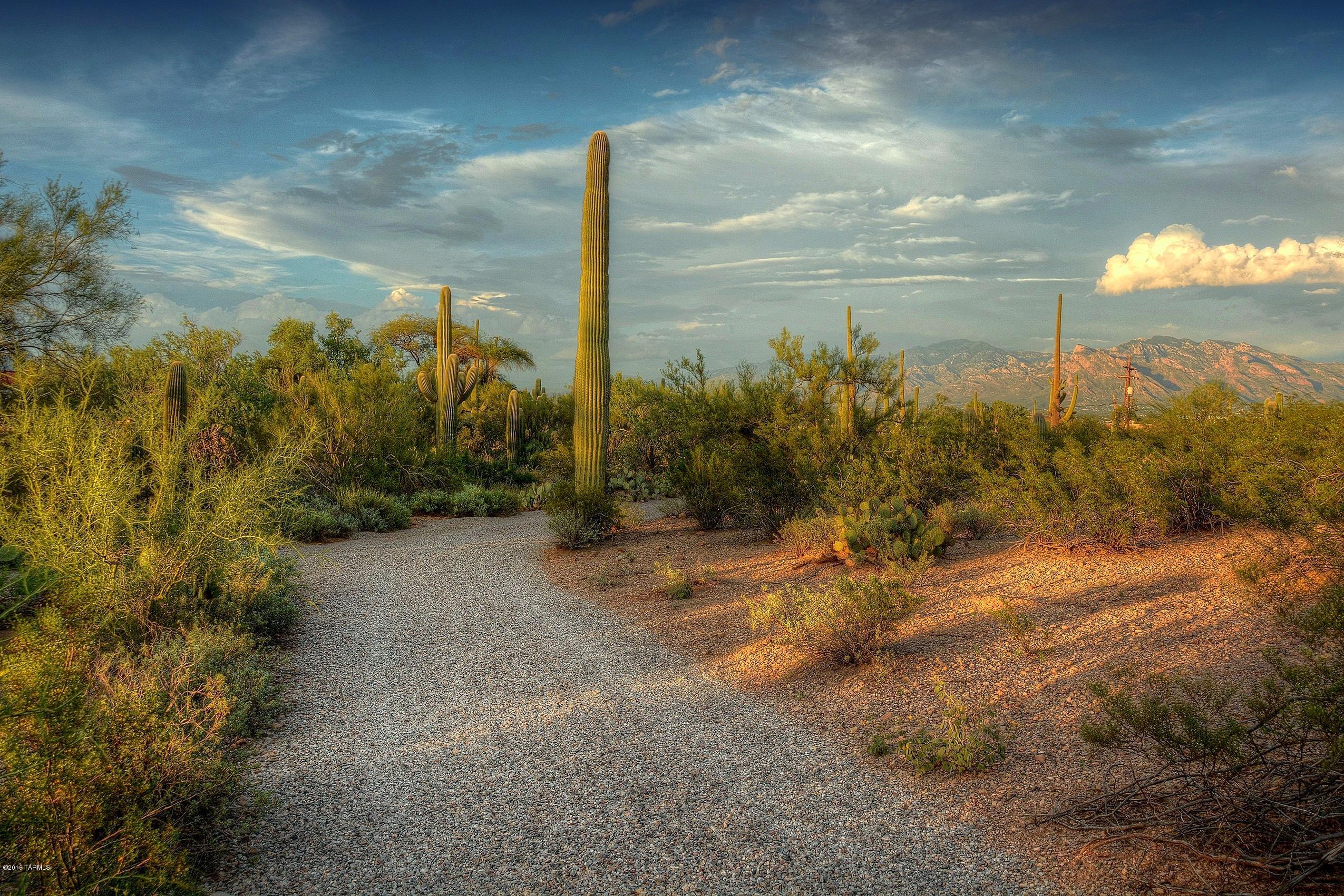 6851 North Wade Road Tucson, AZ 85743 - Photo 40 of 41 Gallery Image 40