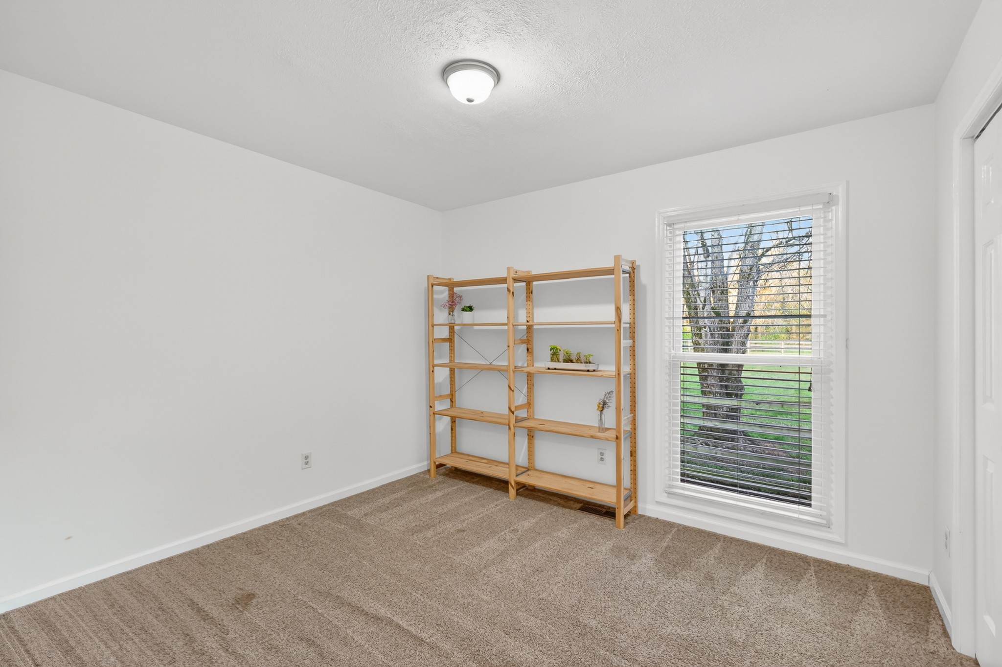 1737 Verona Caney Road Lewisburg, TN 37091 - Photo 18 of 77