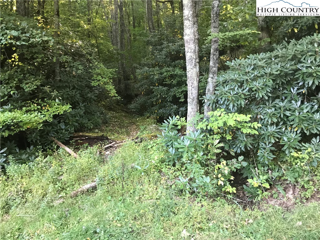 George Hayes Road Road Boone, NC 28607 - Photo 5 of 6 Gallery Image 5