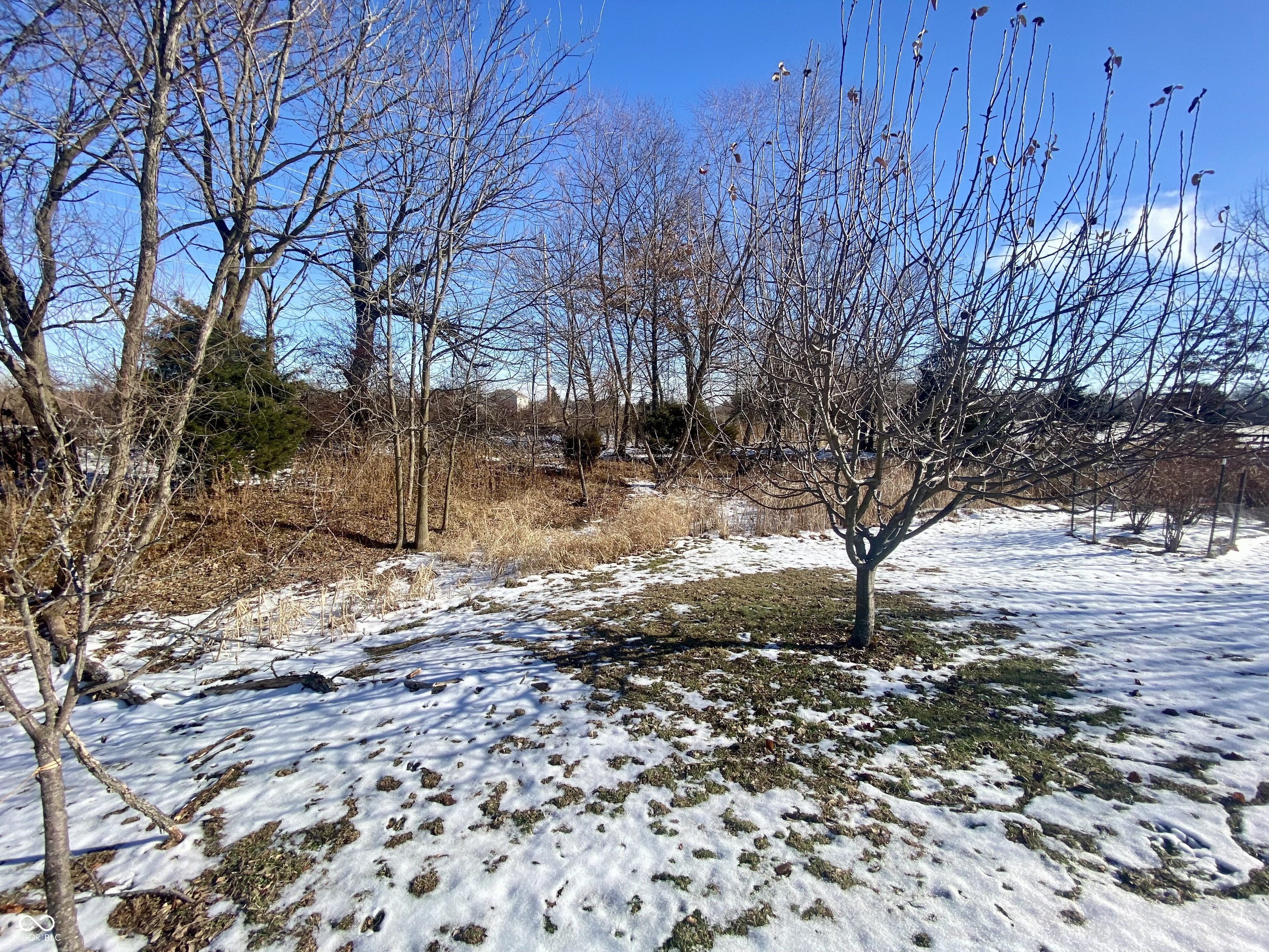 440 Lockerbie Lane Pittsboro, IN 46167 - Photo 46 of 48