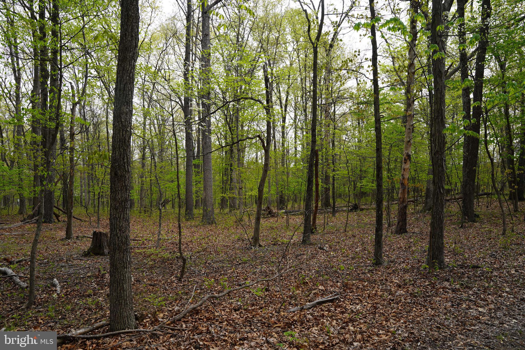 6203 Cherry Run Road Hedgesville, WV 25427 - Photo 24 of 32 Gallery Image 24