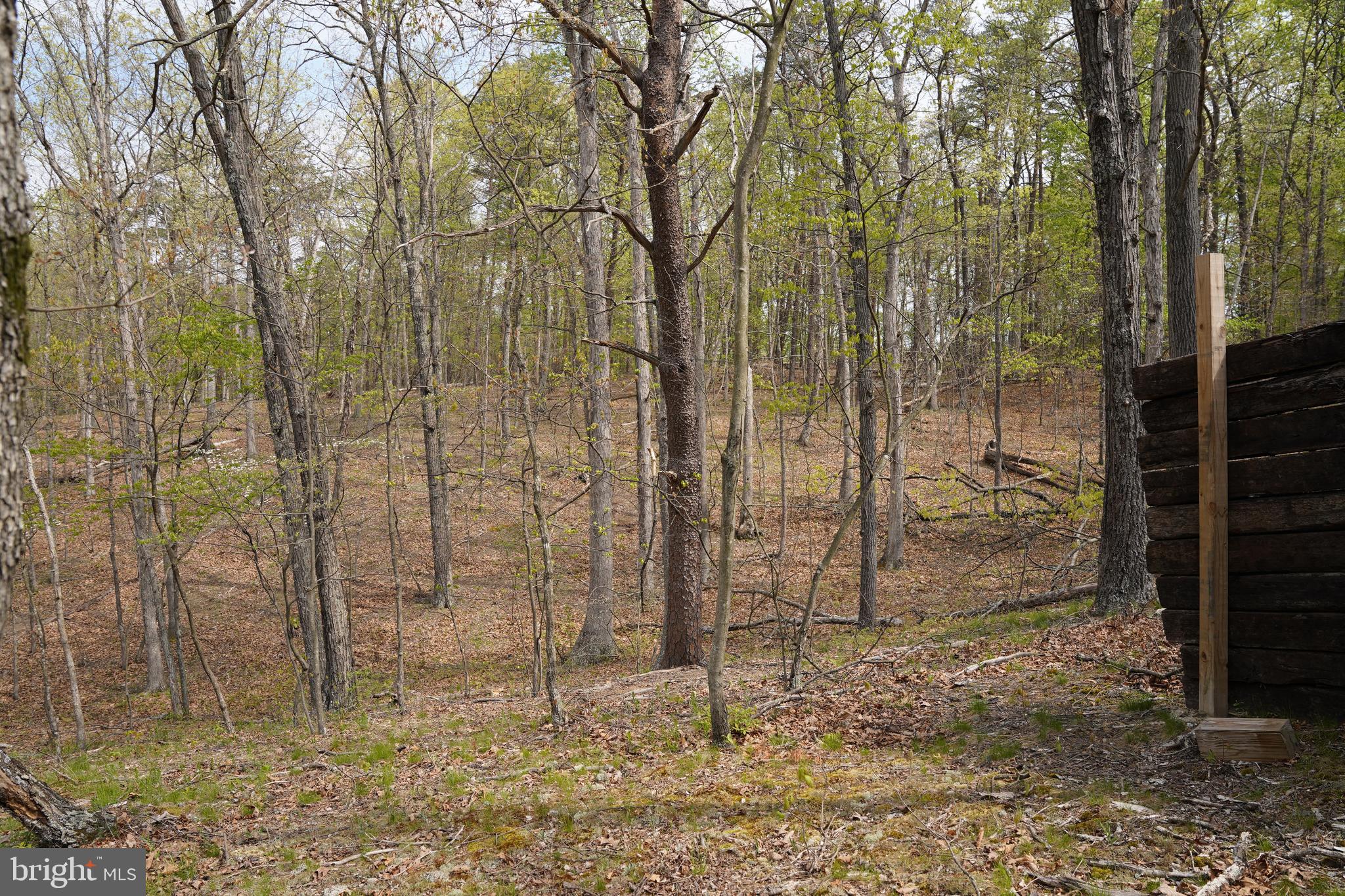6203 Cherry Run Road Hedgesville, WV 25427 - Photo 3 of 32 Gallery Image 3