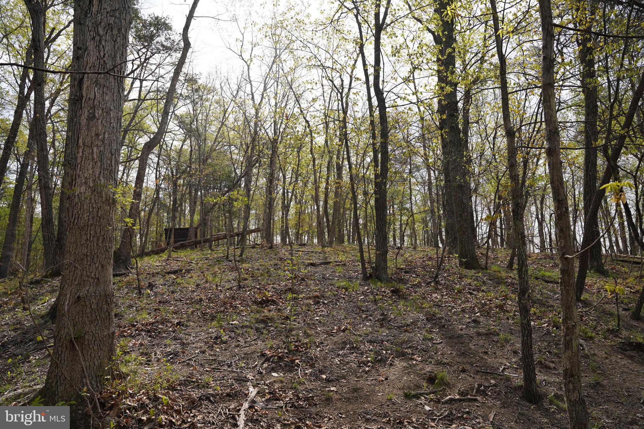 6203 Cherry Run Road Hedgesville, WV 25427 - Photo 5 of 32 Gallery Image 5