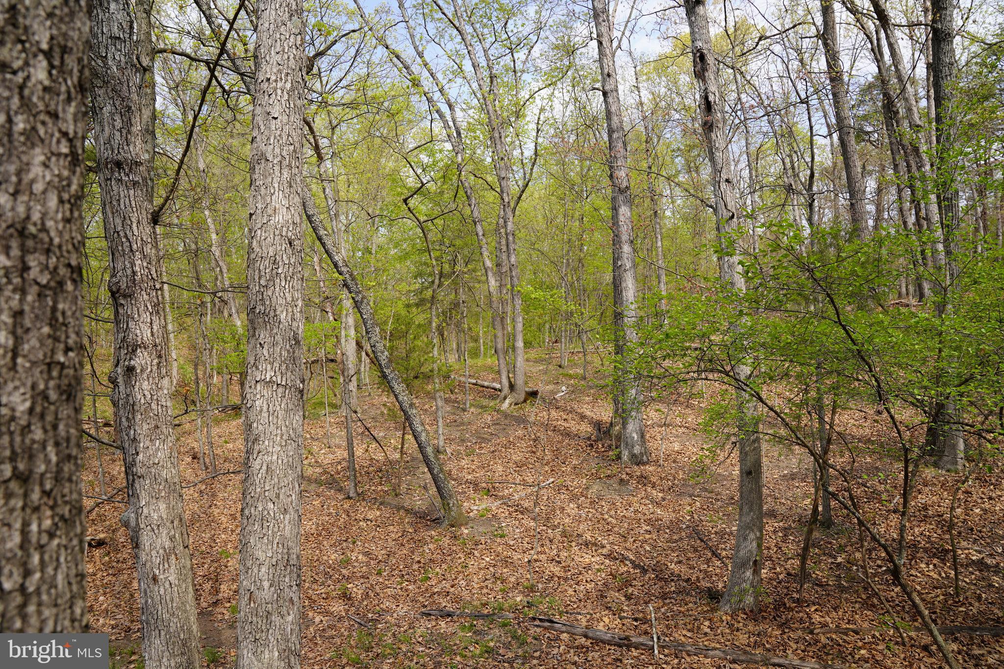 6203 Cherry Run Road Hedgesville, WV 25427 - Photo 8 of 32 Gallery Image 8