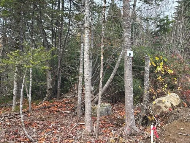 $62,500 | Lot C South Lot C S Whitetail Way, Greenville, ME 04441