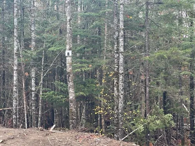 $62,500 | Lot C South Lot C S Whitetail Way, Greenville, ME 04441