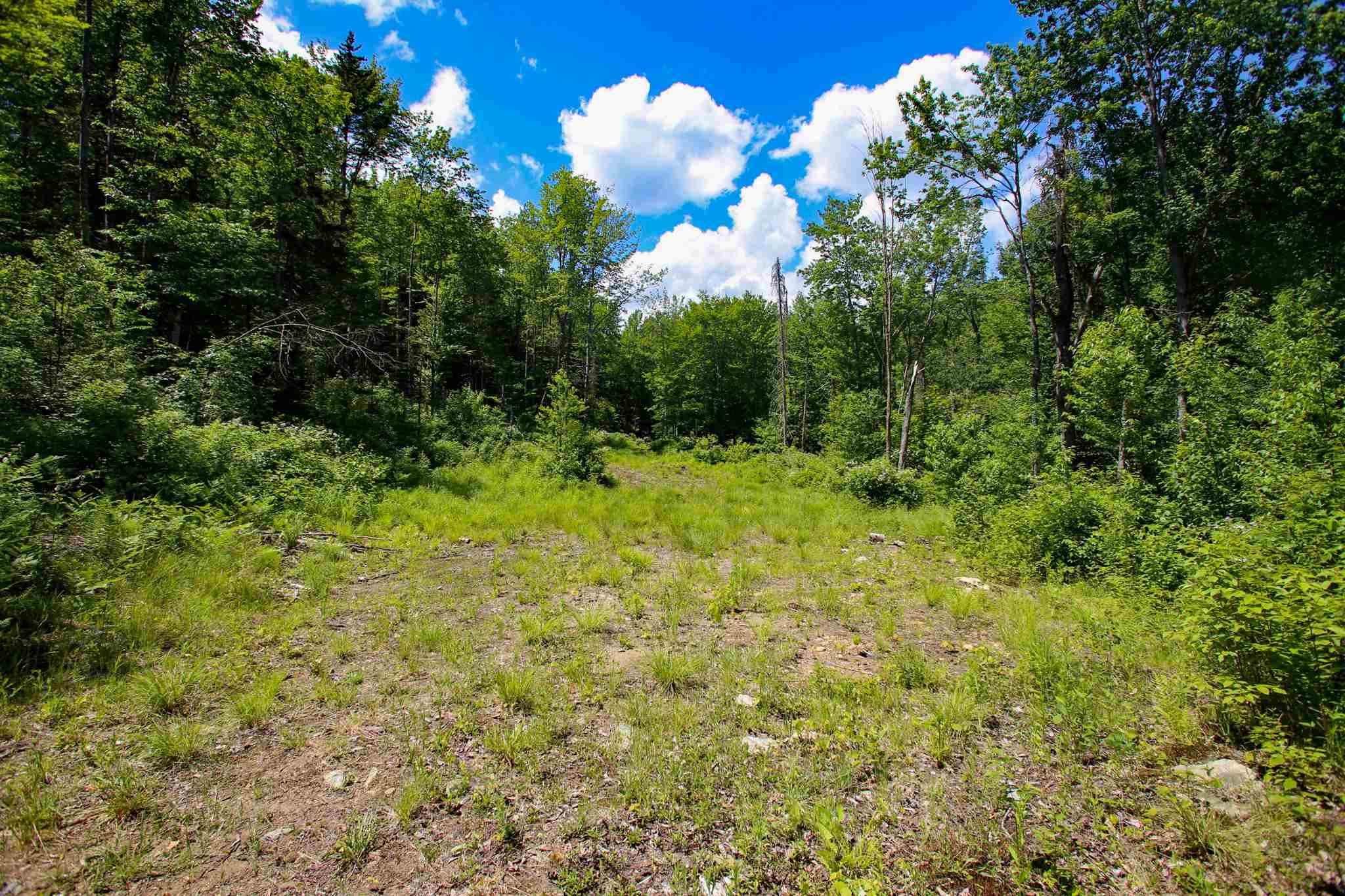 1655 Eagle Ledge Road Wolcott, VT 05680 - Photo 3 of 37