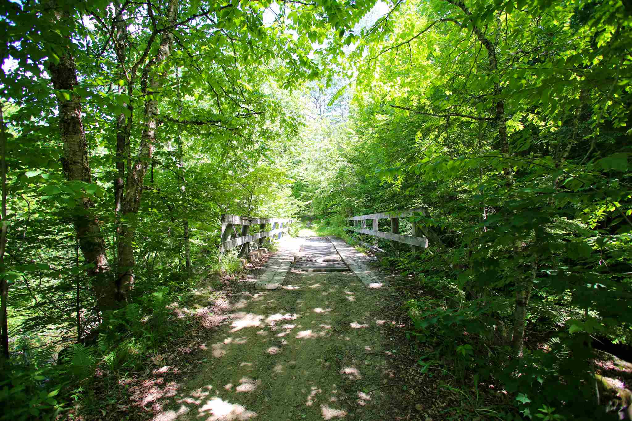 1655 Eagle Ledge Road Wolcott, VT 05680 - Photo 8 of 37