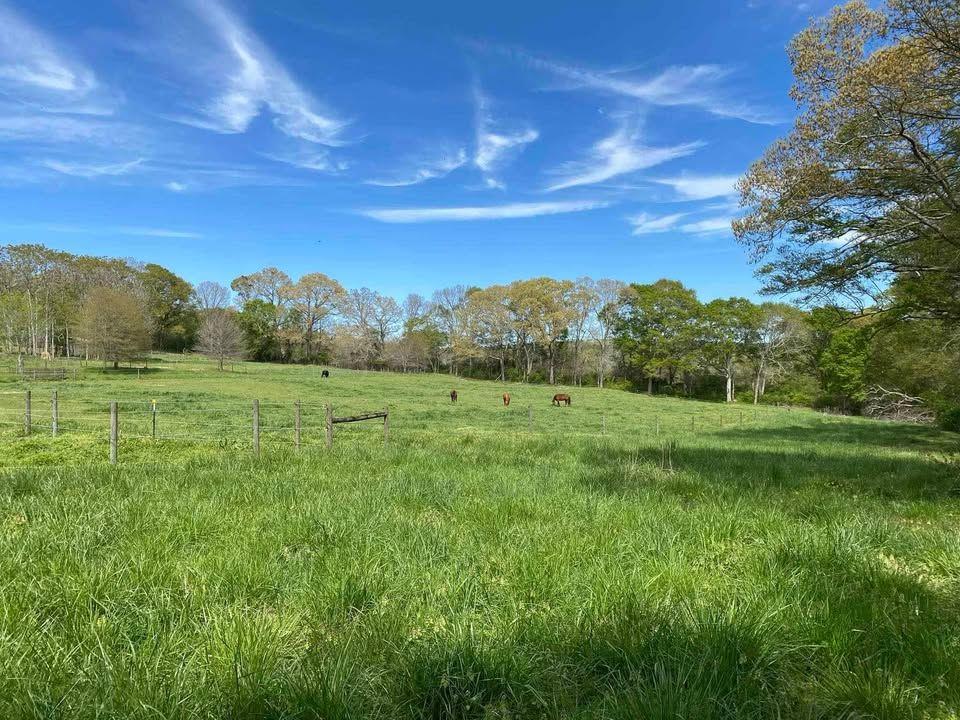 4005 South Apple Valley Road Commerce, GA 30529 - Photo 7 of 17 a view of a grassy field with trees