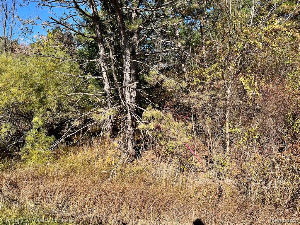 0 North Corunna Road Flint, MI 48473 - Photo 3 of 3
