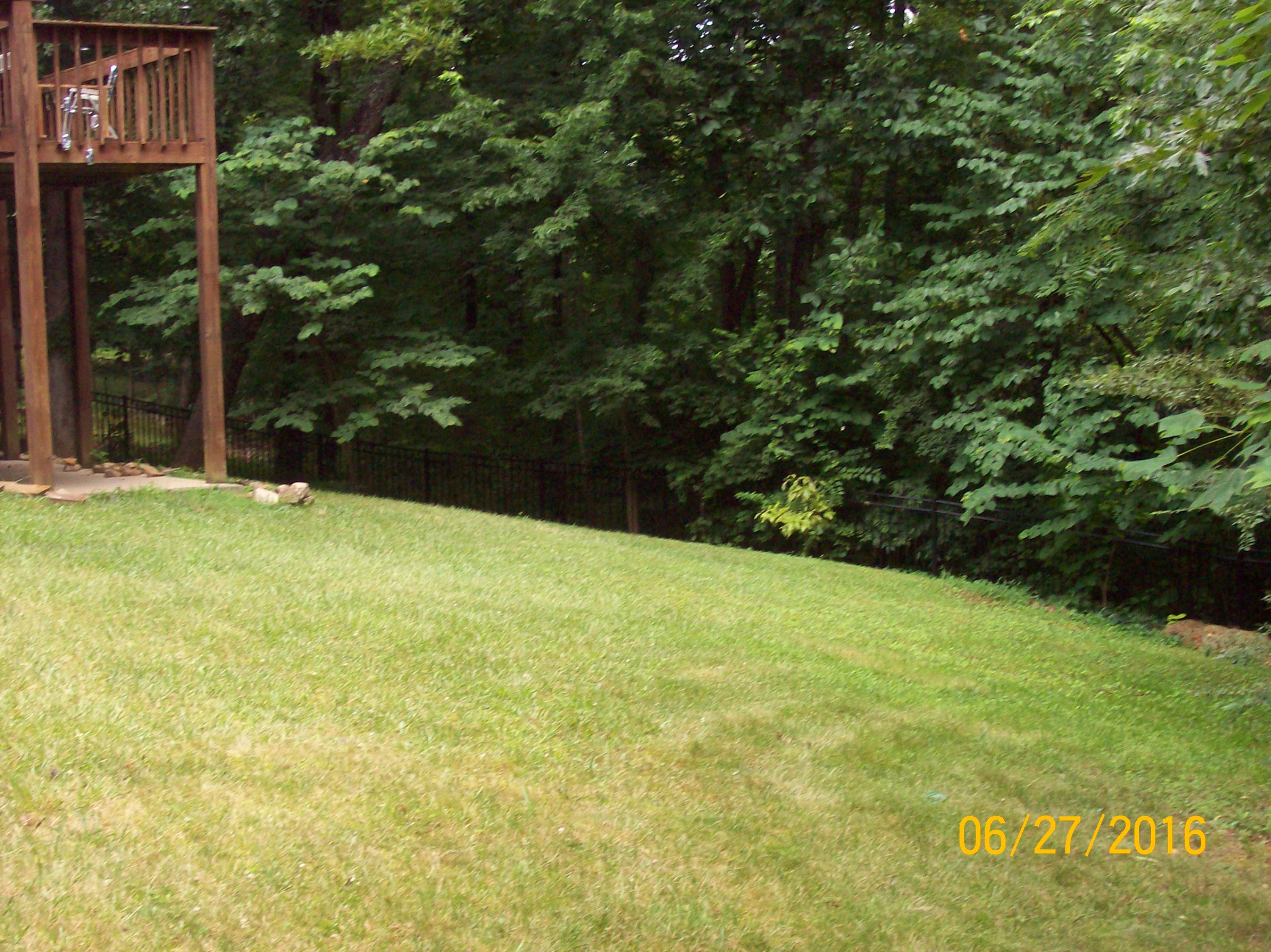 2157 River Road New Market, TN 37820 - Photo 5 of 25 100_4330