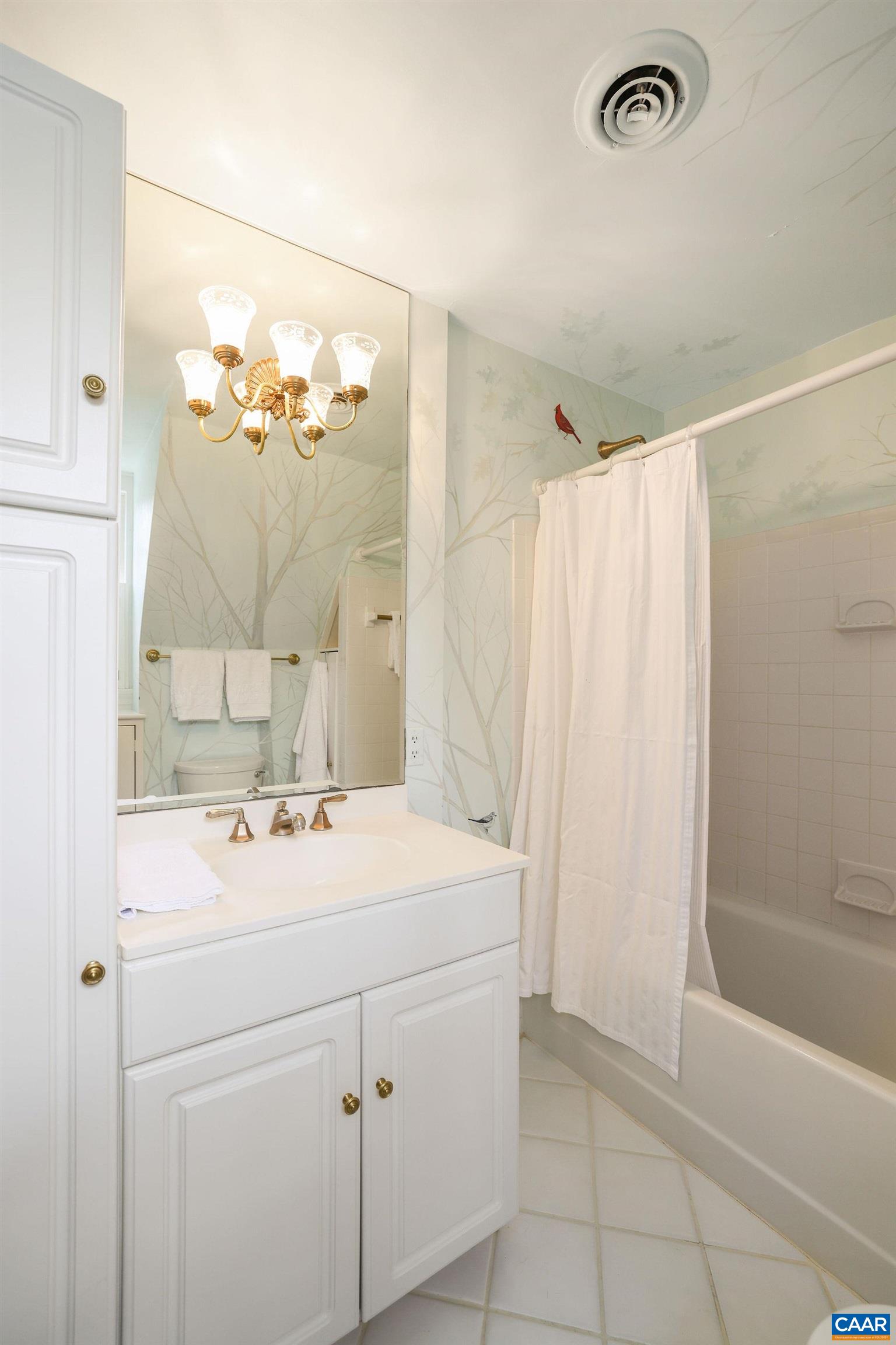 1335 Hilltop Road Charlottesville, VA 22903 - Photo 18 of 46 a bathroom with a sink a vanity and a mirror
