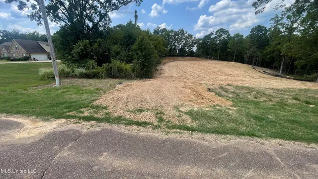 $60,000 | 152 Oak Manor Drive, Coldwater, MS 38618