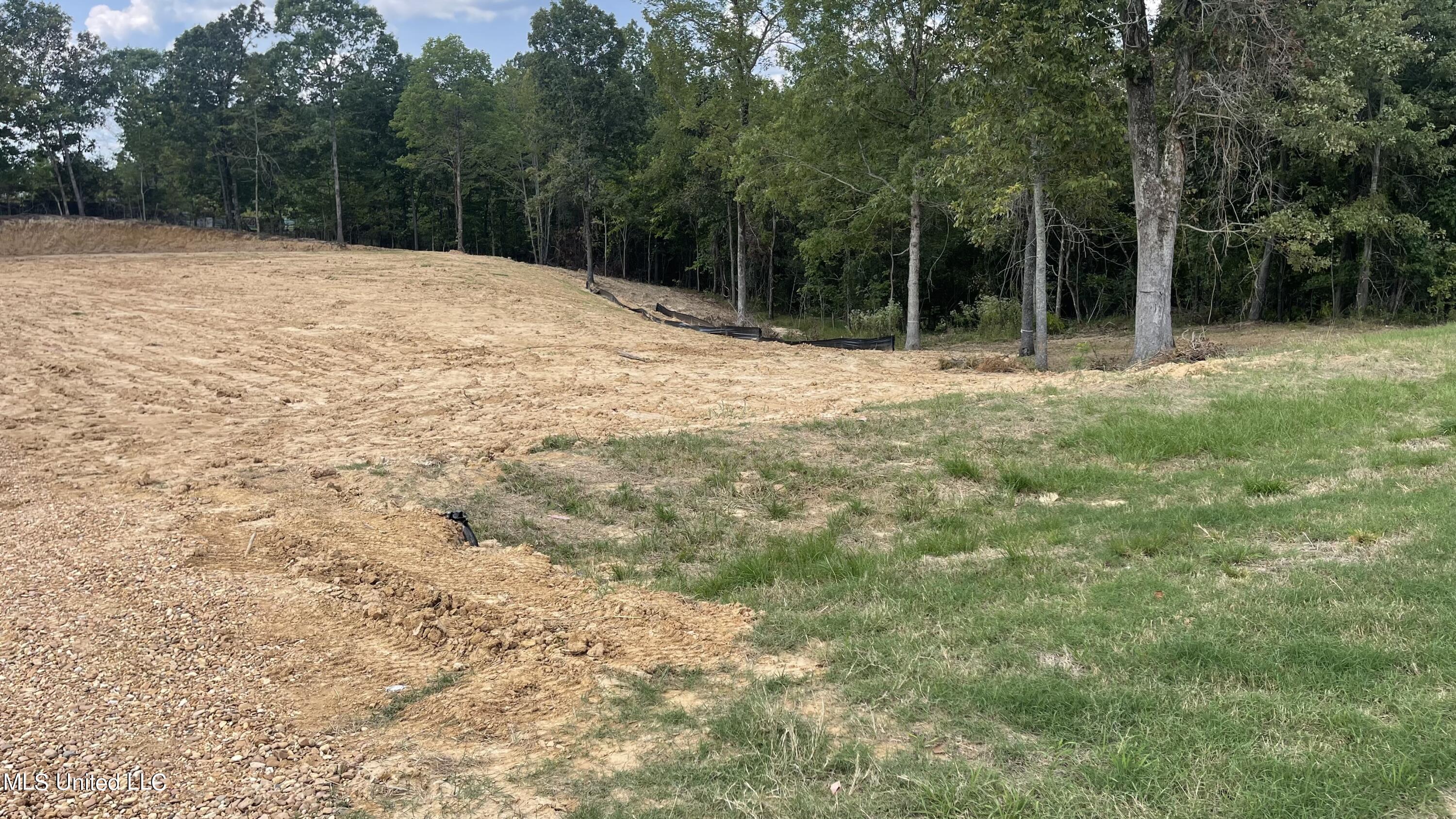 152 Oak Manor Drive Coldwater, MS 38618 - Photo 6 of 10 OAK RIDGE LAKES 152 OAK MANOR DRIVE 106