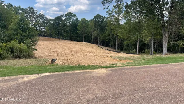 $60,000 | 152 Oak Manor Drive, Coldwater, MS 38618