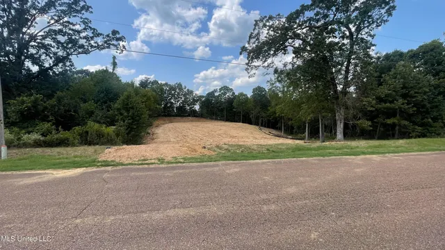 $60,000 | 152 Oak Manor Drive, Coldwater, MS 38618