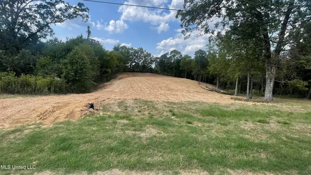 $60,000 | 152 Oak Manor Drive, Coldwater, MS 38618