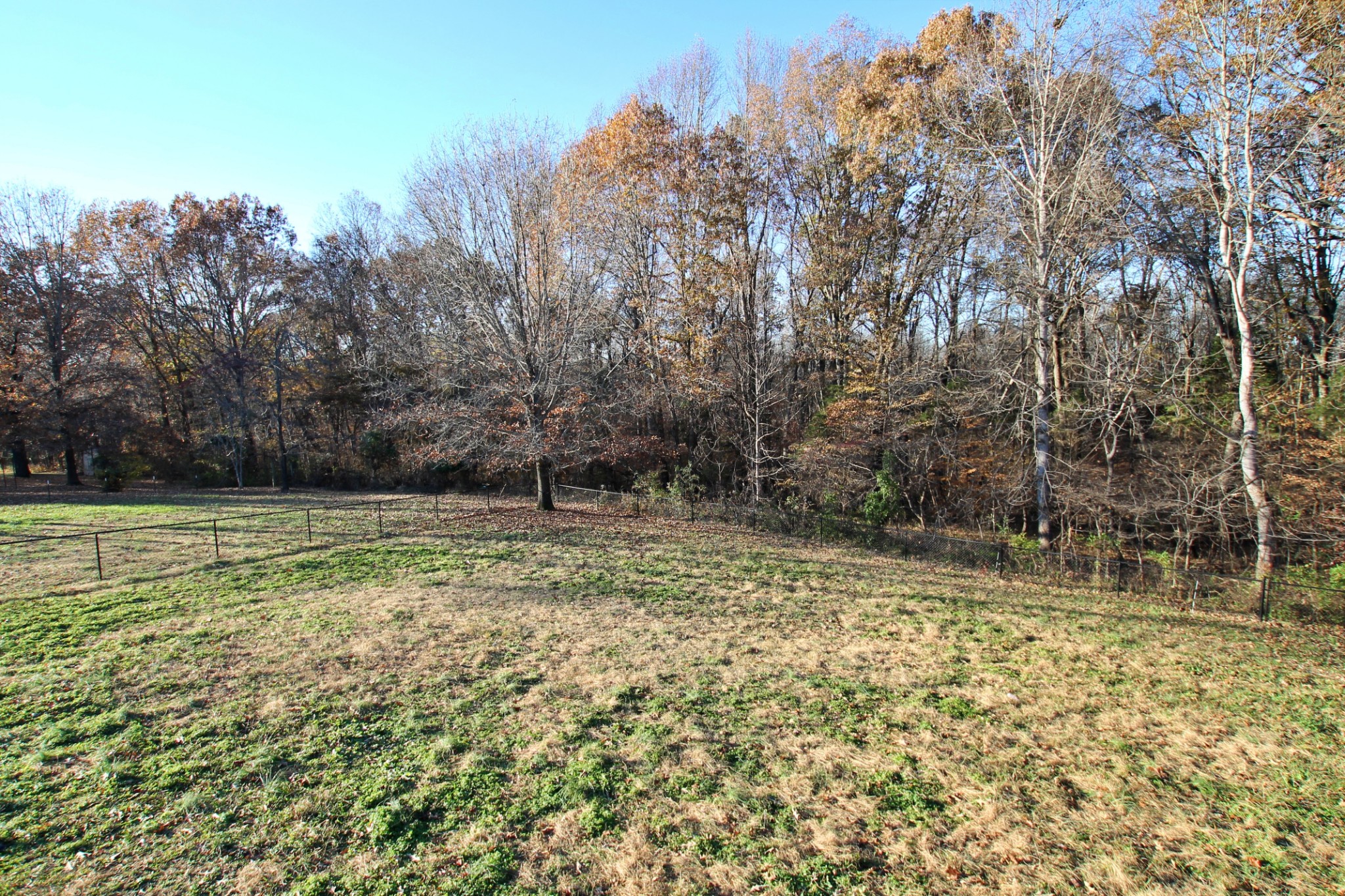 8005 New Chapel Road Springfield, TN 37172 - Photo 28 of 28 a view of a yard with a tree